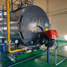 低氮燃气蒸汽锅炉